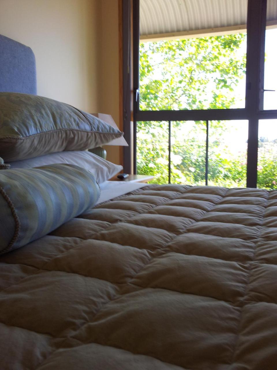 Hawkdun Rise Vineyard & Accommodation Alexandra Bagian luar foto