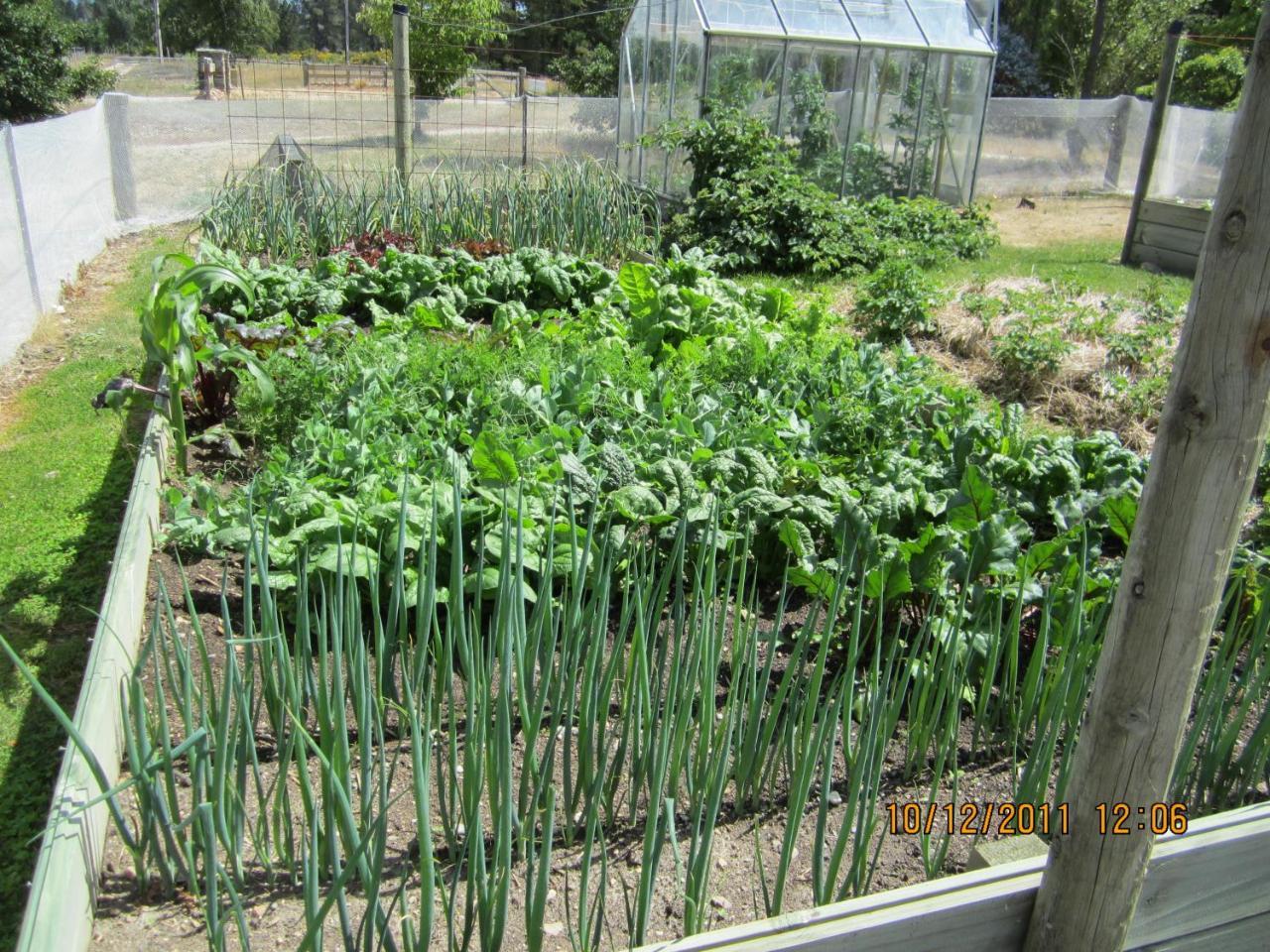 Hawkdun Rise Vineyard & Accommodation Alexandra Bagian luar foto
